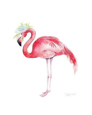 Flamingo Beach Paintings Pixels
