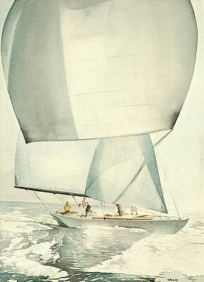 Running with the Wind by Michael Willis