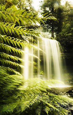 Russell Falls background by Jorgo Photography Russell Falls background by Jorgo Photography