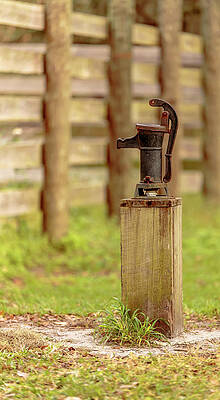 Rustic Water Pump on Wooden Base by John Tillard