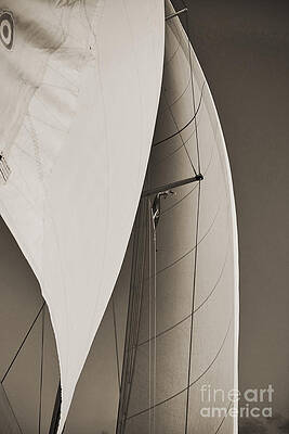 Wall Art - Photograph - Sails by Dustin K Ryan