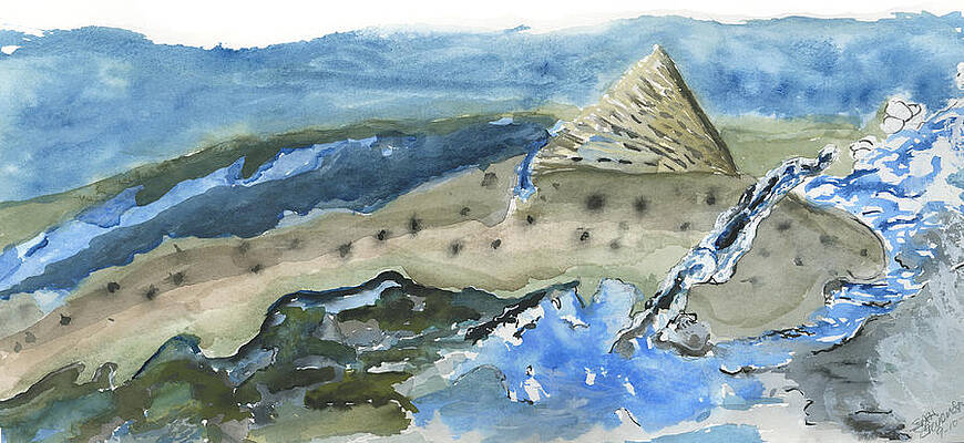Salmon surface by Sara Stevenson Salmon surface by Sara Stevenson