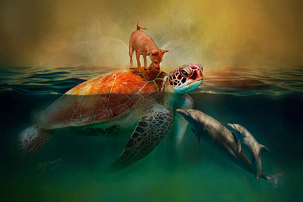 Sammy's Ocean Adventure by David Wagner Sammy's Ocean Adventure by David Wagner