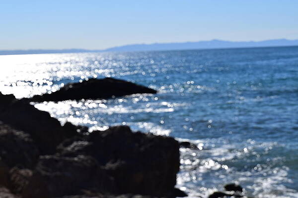Santa Barbara December by Curtis Willis