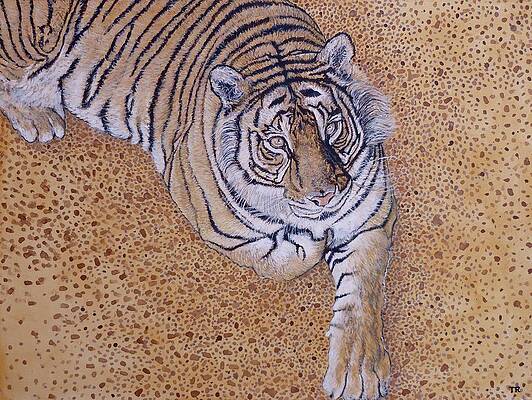 Wall Art - Painting - Sasha by Tom Roderick