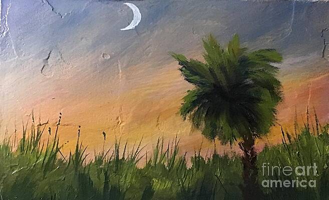 SC Sunset by Jerry Walker SC Sunset by Jerry Walker