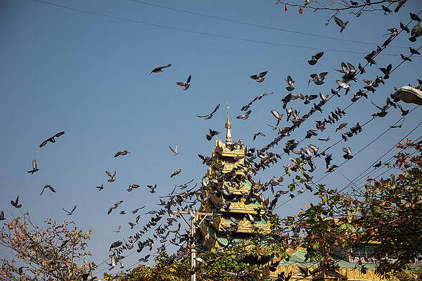 Schwedagon Pagoda IIII by Erika Gentry Schwedagon Pagoda IIII by Erika Gentry