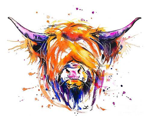 Scottish Highland Cow by Zaira Dzhaubaeva Scottish Highland Cow by Zaira Dzhaubaeva