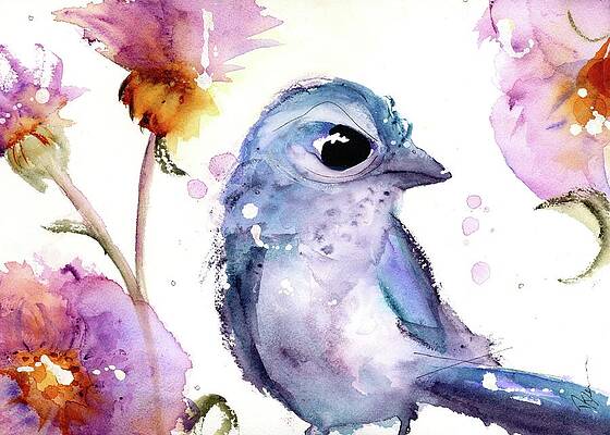 Scrub Jay Paintings Fine Art America