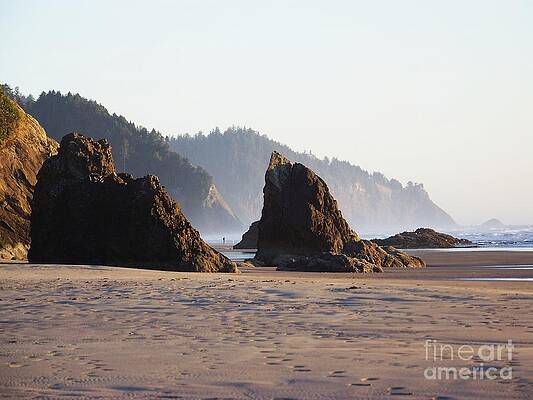 Sea Cliffs by Julie Rauscher Sea Cliffs by Julie Rauscher