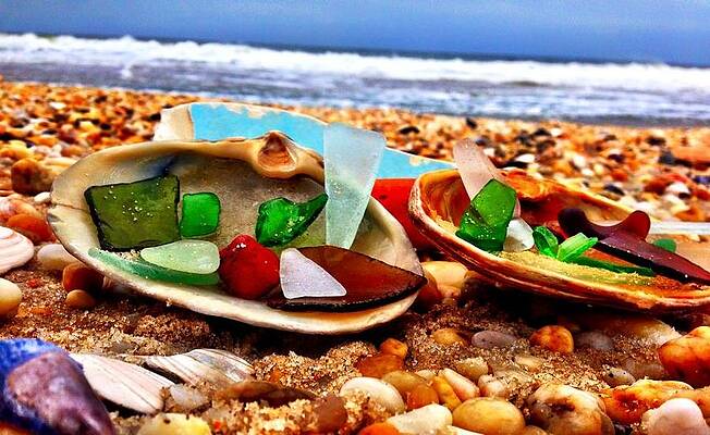 Sea Glass in shells by John Grcic