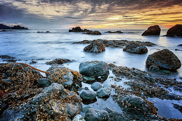 Seldovia Sunset by Matt Skinner Seldovia Sunset by Matt Skinner