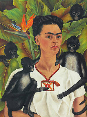 Monkey Face Paintings Fine Art America