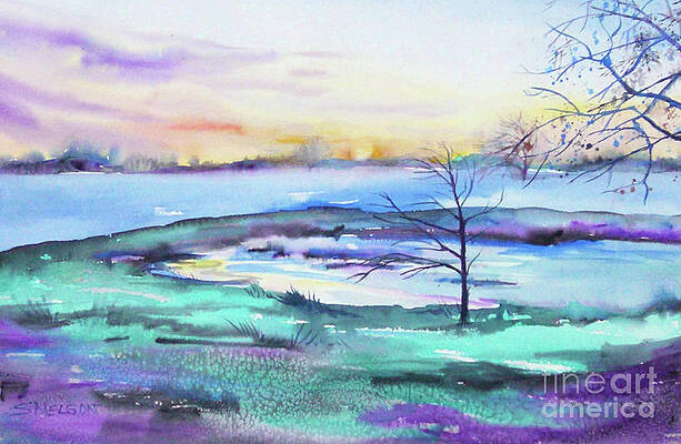 Serene Sunset by Sharon Nelson-Bianco Serene Sunset by Sharon Nelson-Bianco