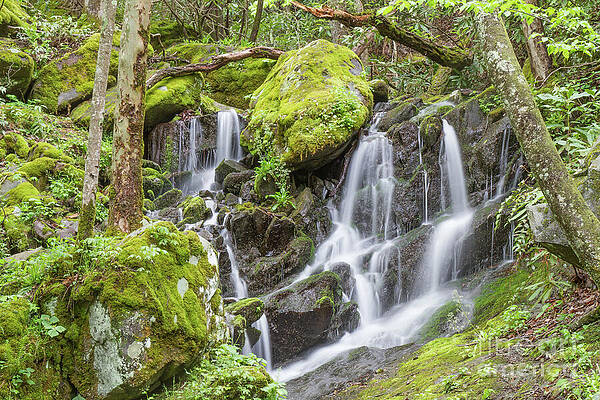 Wall Art - Photograph - Serenity Station by Chris Scroggins
