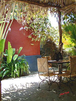 Shady Table by Carol Neal-Chicago Shady Table by Carol Neal-Chicago