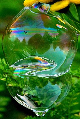 Shambhala by Marilynne Bull Shambhala by Marilynne Bull