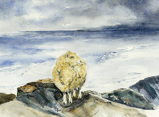 Sheep Rock Paintings Page 4 Of 4 Fine Art America