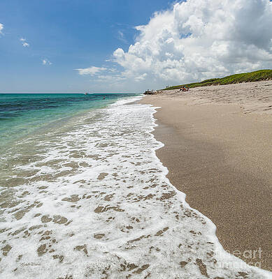 Wall Art - Photograph - Shore Daze by Michelle Constantine