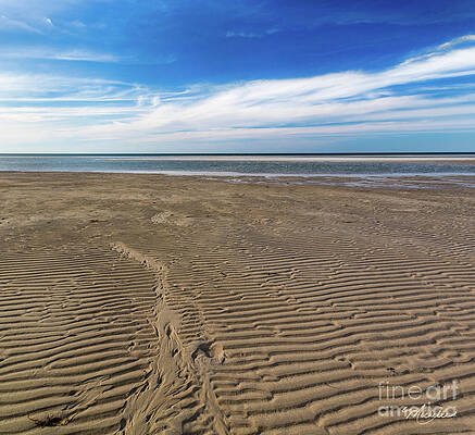 Wall Art - Photograph - Shore Design by Michelle Constantine