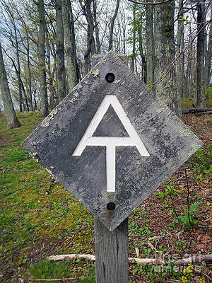 Sign Post by Glenn Gordon Sign Post by Glenn Gordon