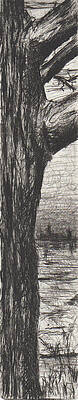 Wall Art - Drawing - Silent Stand  by Erik Paul