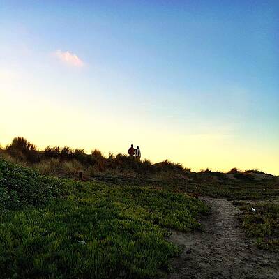 Wall Art - Photograph - Silhouette by Julie Gebhardt
