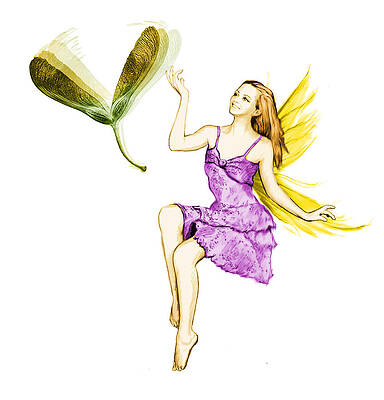 Silver Maple Tree Fairy Tossing Seeds by Yuichi Tanabe Silver Maple Tree Fairy Tossing Seeds by Yuichi Tanabe