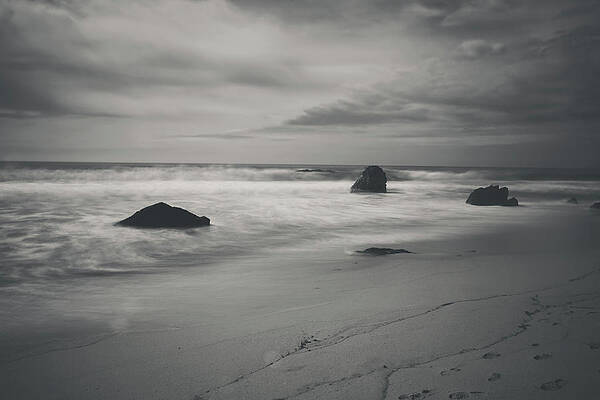 Wall Art - Photograph - Since Our Last Goodbye by Laurie Search