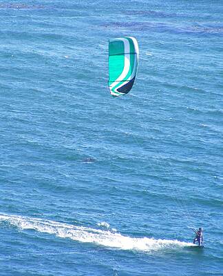 Singe Kitesurfer by Darla J Bower Oder