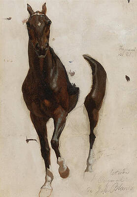 Sketch for the Horse of La Revista de Santos Print by Juan Manuel Blanes