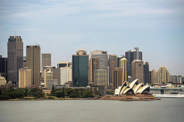 Wall Art - Photograph - Skyline of Sydney downtown from Taronga hill by Miroslav Liska