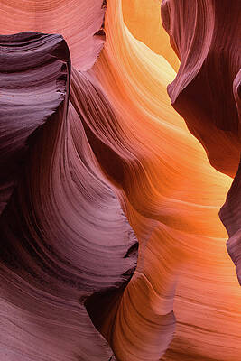 Wall Art - Photograph - Slot Canyon 2, Lower Antelope Canyon  by Steven Upton