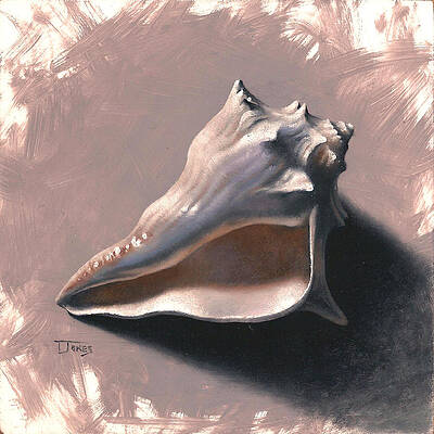 Small Seashell by Timothy Jones Small Seashell by Timothy Jones