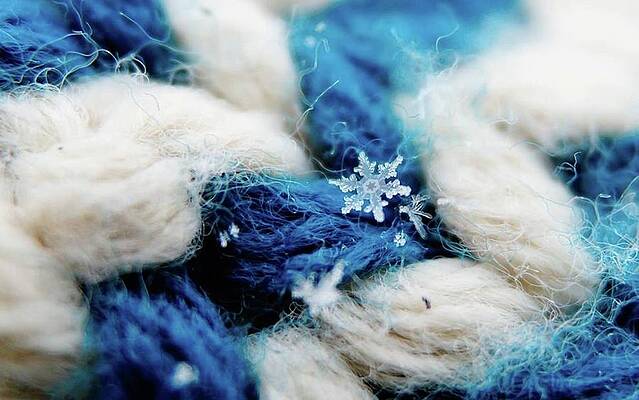 Photograph - Snow 1 by Jessie Henry