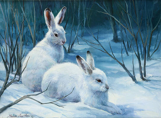 From a Painting 145 Winter Hare in Snow Framed Art Print Hand Signed by Artist 