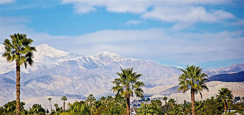Snow-covered Mountain Peaks and Palm Trees from Desert Hot Springs-California by Ruth Hager Snow-covered Mountain Peaks and Palm Trees from Desert Hot Springs-California by Ruth Hager