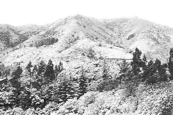 Wall Art - Photograph - Snow on Mt. Tamalpais 1974 by Ben Upham III
