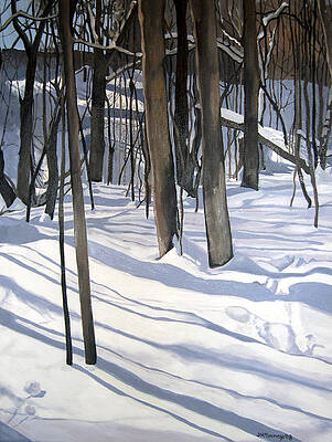 Snow Shadows Vale of Avoca  1 by Joan McGivney