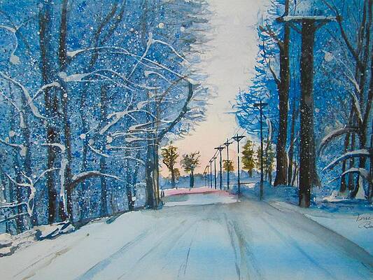 Snowfall afternoon by Terri Behar