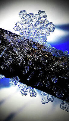 Wall Art - Photograph - Snowflake by Judy Fry