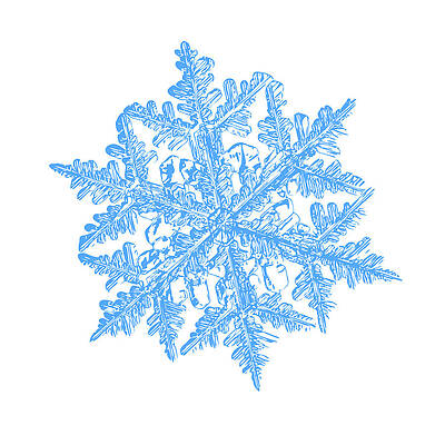 Wall Art - Digital Art - Snowflake vector - 2017-02-13_3 white by Alexey Kljatov