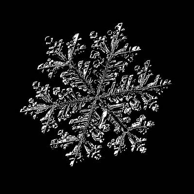 Wall Art - Digital Art - Snowflake vector - Hyperion black by Alexey Kljatov