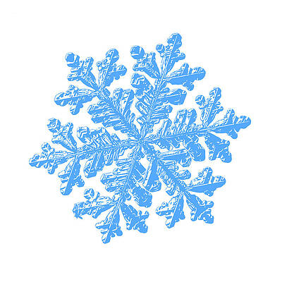 Wall Art - Digital Art - Snowflake vector - Hyperion white by Alexey Kljatov