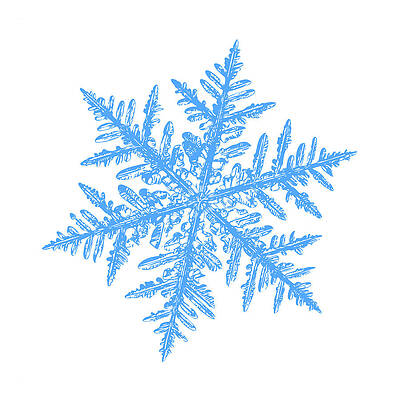 Wall Art - Digital Art - Snowflake vector - Silverware white by Alexey Kljatov