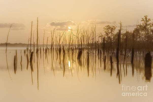 Wall Art - Photograph - Soft Peach Sunrise at Manasquan by Debra Fedchin