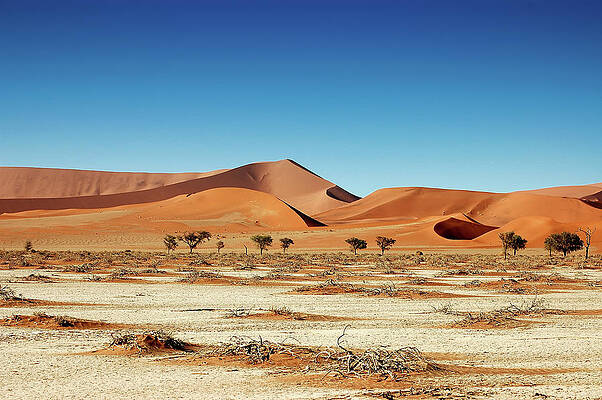 Wall Art - Photograph - Sossusvlei by Alberto Audisio