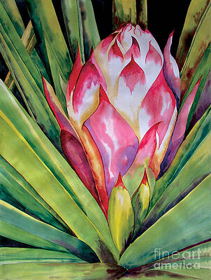 Spanish Dagger IV by Kandyce Waltensperger Spanish Dagger IV by Kandyce Waltensperger