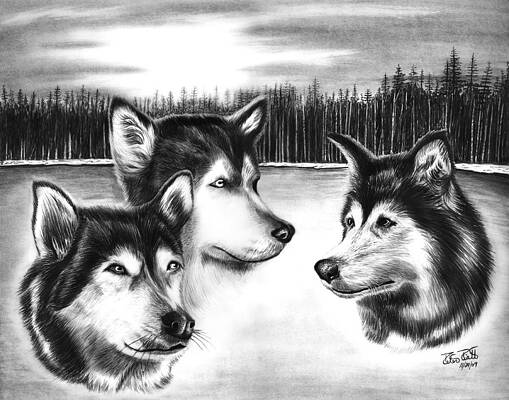 Wall Art - Drawing - Spirit Guides  by Peter Piatt