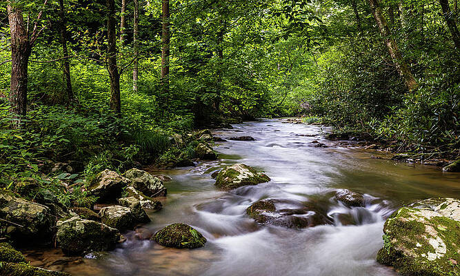 Spivey Creek by Gary Migues Spivey Creek by Gary Migues